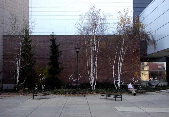 09.jpg